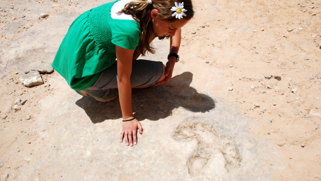 A girl wearing a green shirt with a white daisy in her hair looks at a fossilized footprint on the ground.