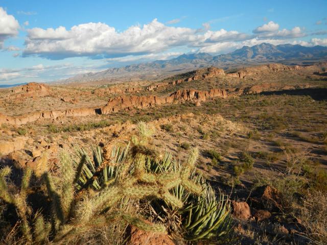 Views of the Hualapai Mountains from the Cerbat Foothills