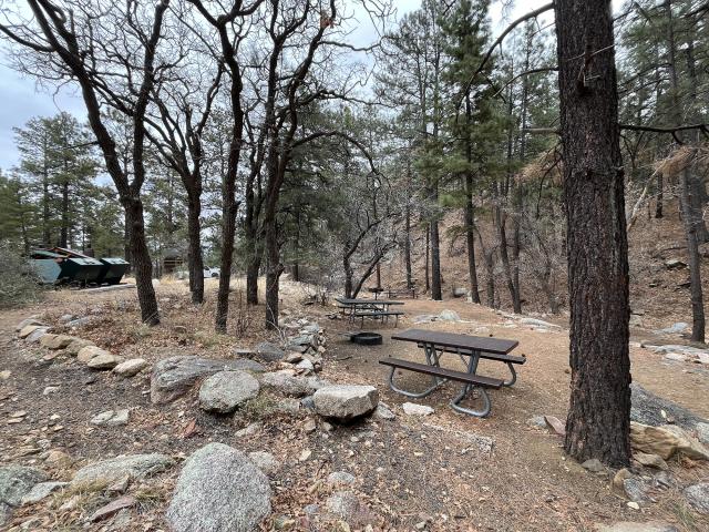 Two picnic tables and a fire ring among trees in a campground