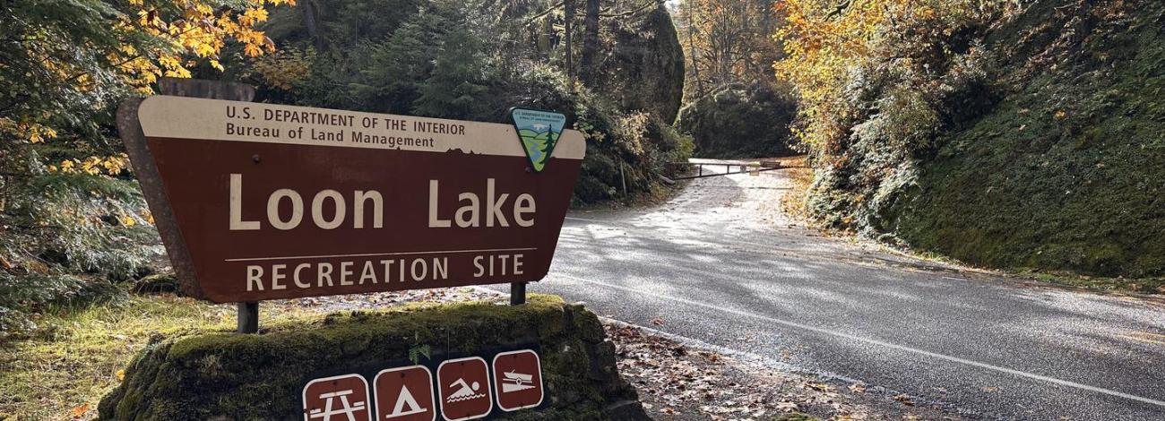View of Loon Lake Recreation Site entrance sign in the foreground with the entrance road in the background