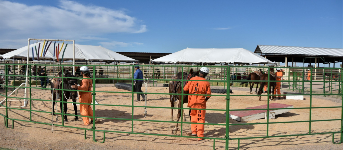 inmates wearing orange work inside a corral with trained horses