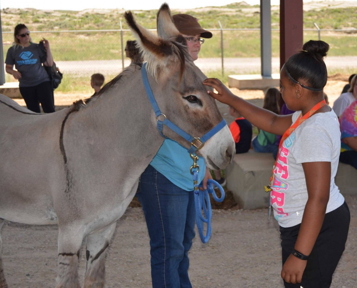 BLM volunteer introduces wild burro to young girl. BLM photo
