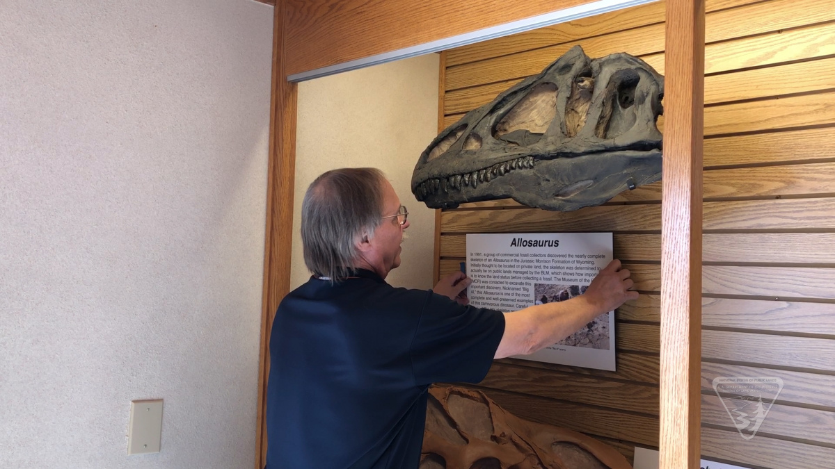 Pat Leiggi installs Allosaurus