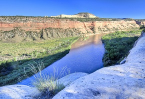 A flat section of the Colorado River flowing through green trees in a red-rock canyon.