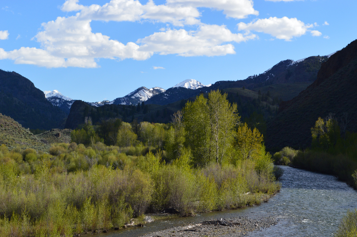 East Fork of the Salmon River near Boulder Campground