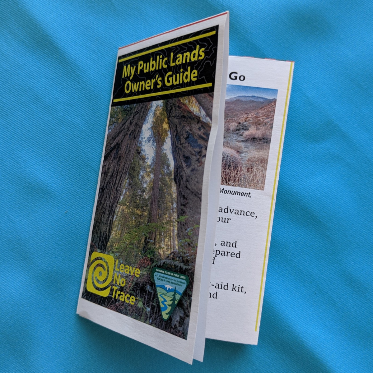 Kids Foldable Minibook - Public Lands Owners Guide