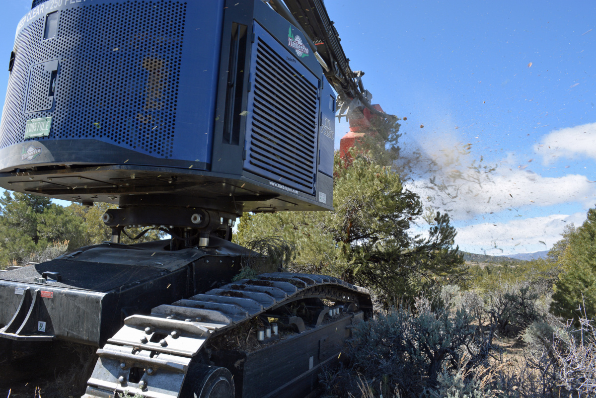 A masticating machine is pictured selectively thinning pinyon-pine and juniper trees.