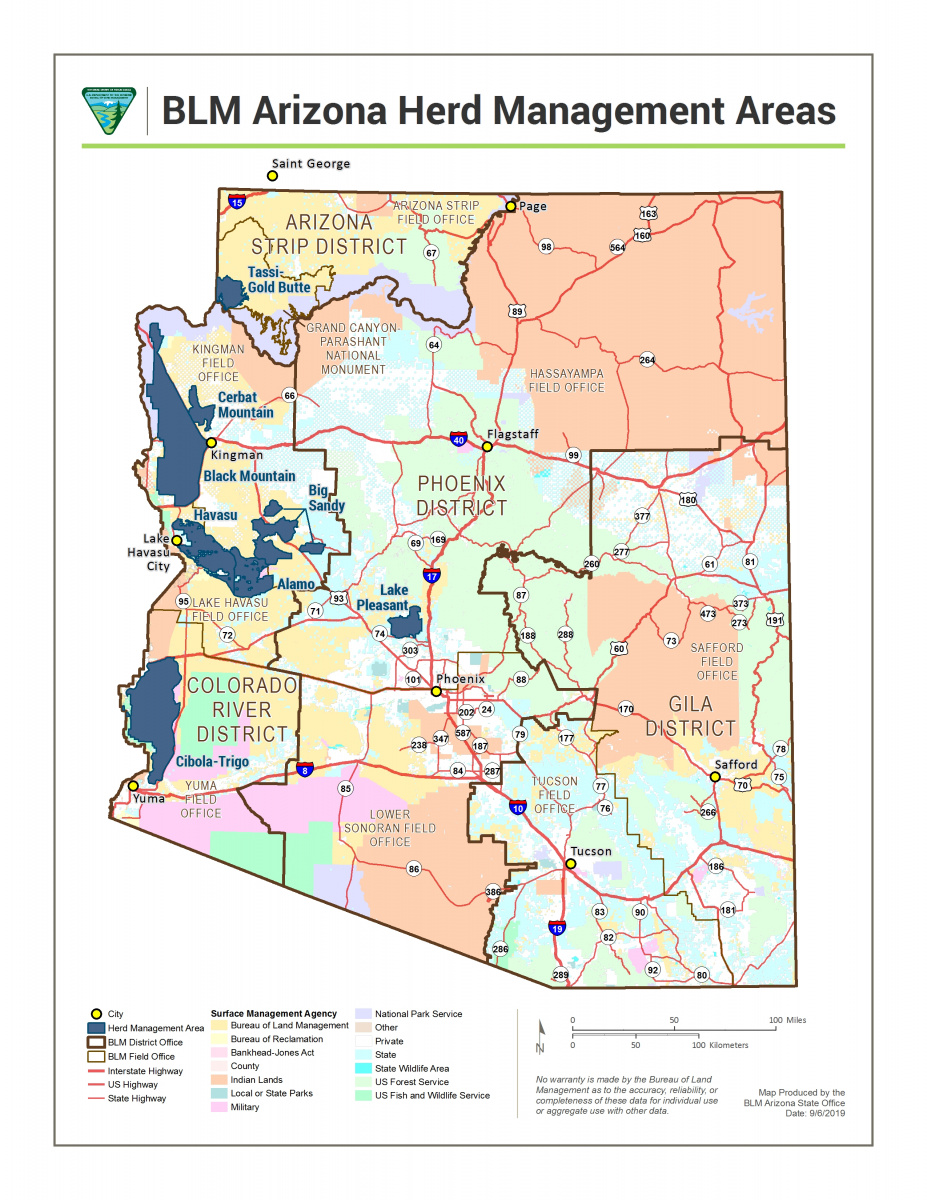 Wild horse and burro herd management areas map for Arizona