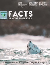 Facts at Your Fingertips magazine cover