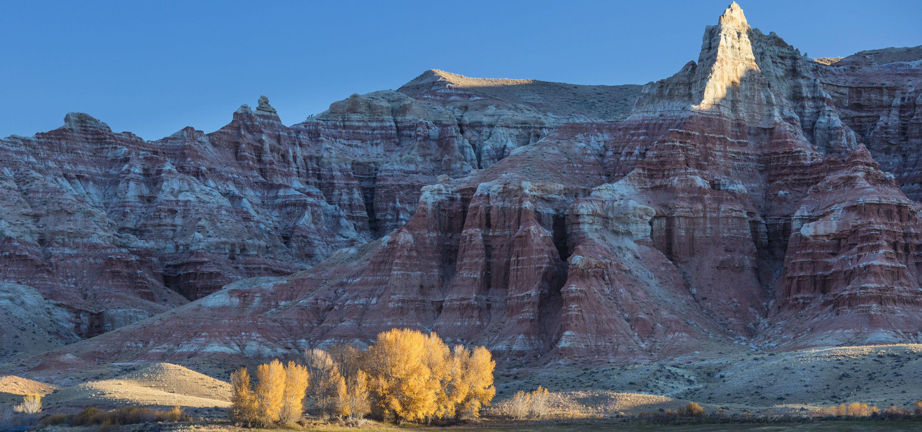 Wyoming  BUREAU OF LAND MANAGEMENT