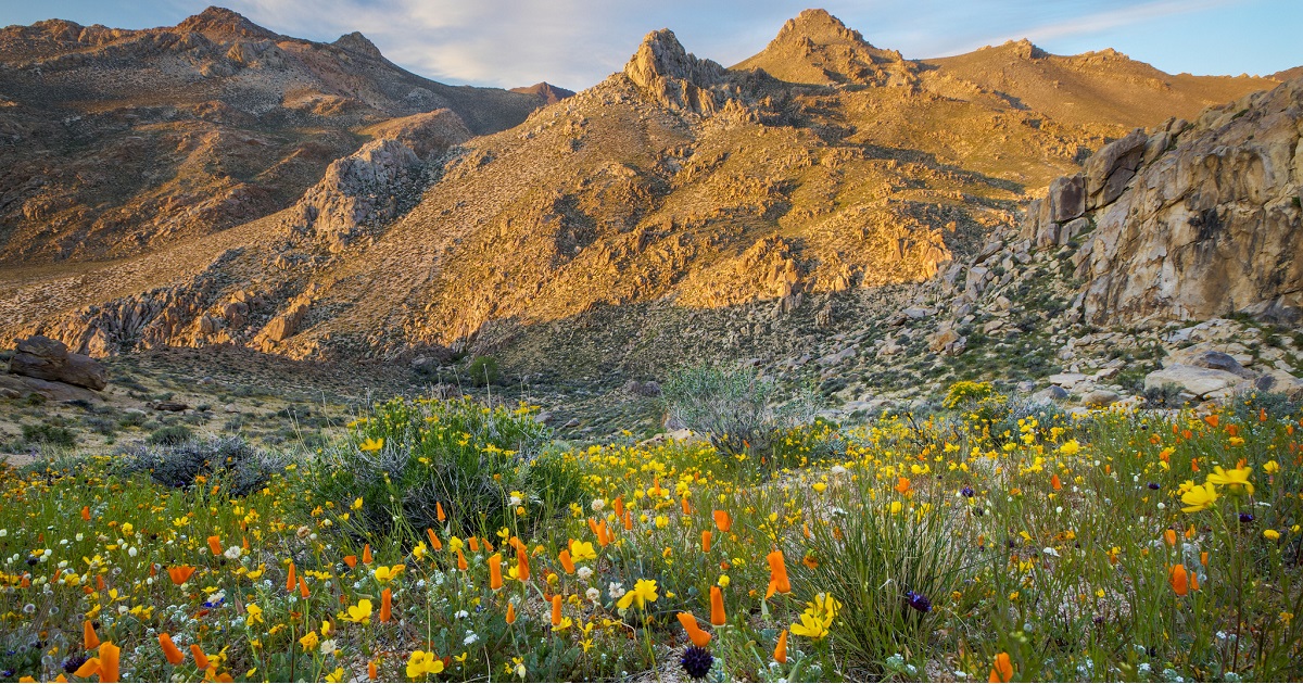 Pacific Crest | BUREAU OF LAND MANAGEMENT