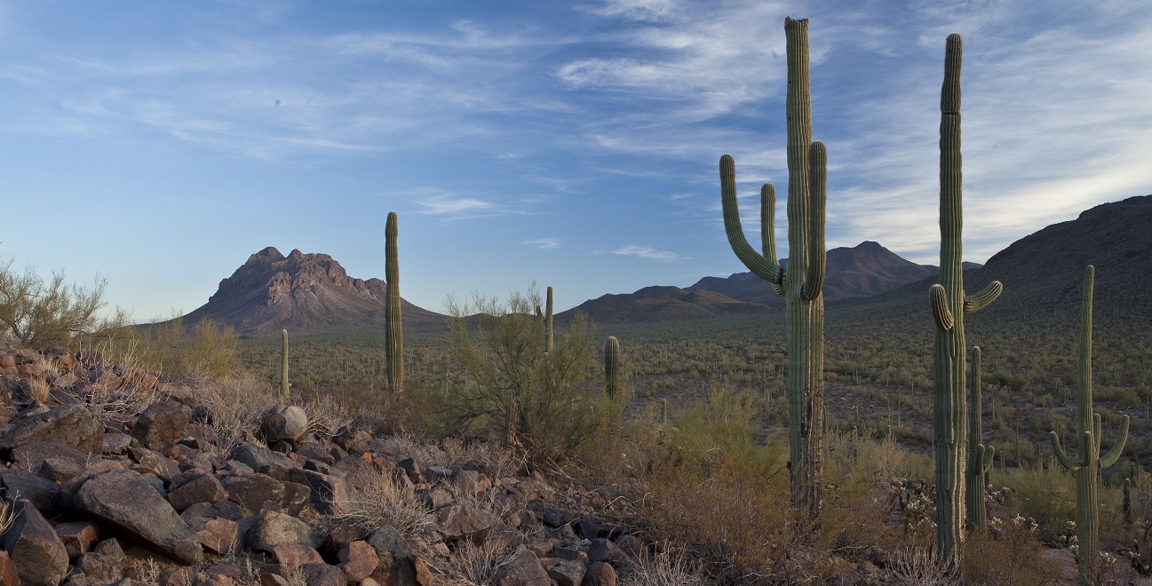 Locations: Arizona  BUREAU OF LAND MANAGEMENT