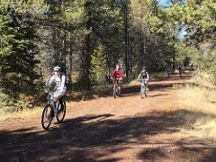 A group of people ride bicycles along a dirt trail surrounded by tall trees.  BLM photo by Stan Bales.