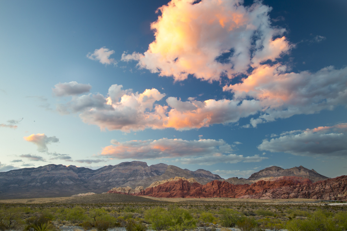 Wide landscape of Red Rock Canyon