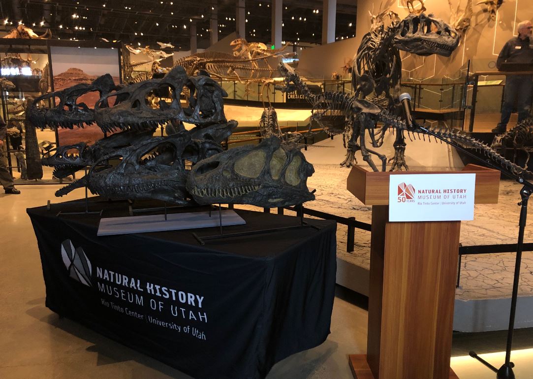 New dinosaur displayed at Natural History Museum in Salt Lake City