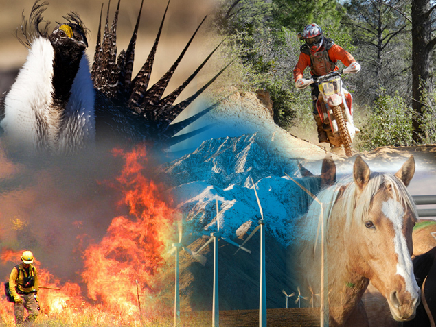 A collage of multiple-use on public lands - sage grouse, off road motorcycle, wildfire, conservation lands, wind turbines, and wild horses.