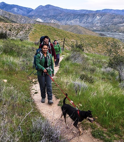 Hikers and their dog on the Pacific Crest Trail