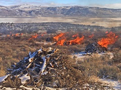 Pile burn in a snowy high desert. Photo by the BLM.