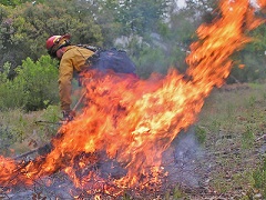 Pile burns as fire fighter supervises. Photo by BLM.