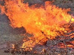 A pile of brush burns under supervision of fire fighters. Photo by BLM.