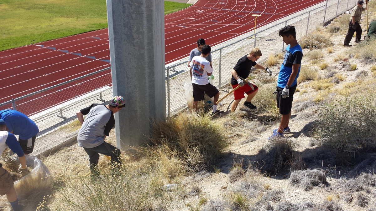 Volunteers removing fountaingrass at Laughlin High School.