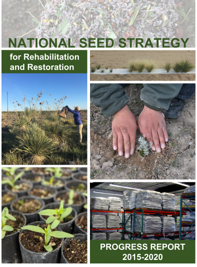 national seed strategy business plan