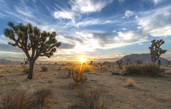 California Desert National Conservation Lands, Photo by BLM