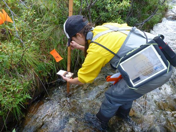 Employee measuring vegetation density with a densitometer along a stream