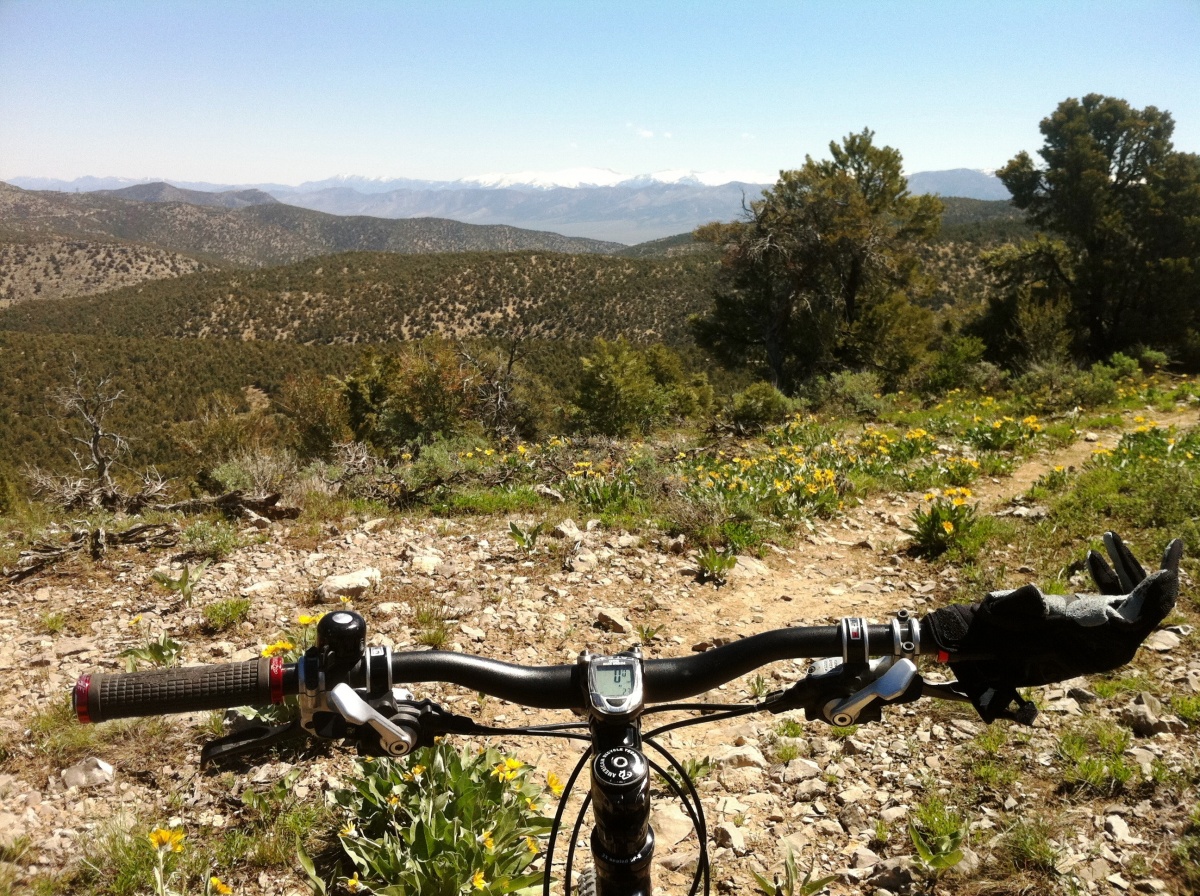 A Nevada landscape with pinyon-junipers is seen from a mountain biker's perspective over a set of handlebars.