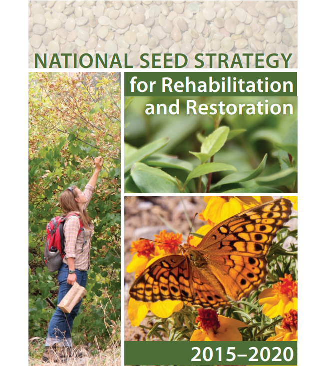 national seed strategy cover photo