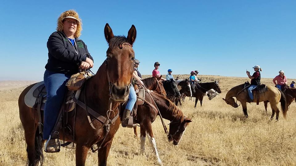 Horses with riders on the range. 
