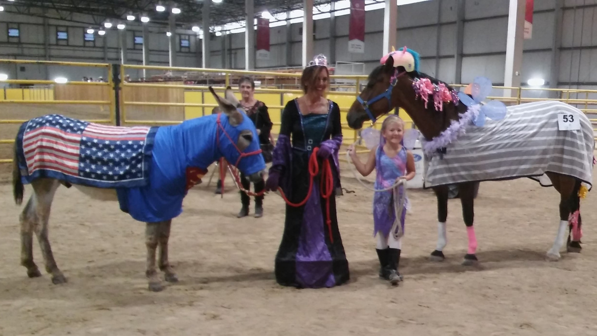 Horses in an arena with costumes. 