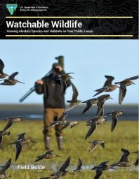 Cover of Watchable Wildlife: Viewing Alaska's Species and Habitats on Your Public Lands brochure