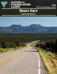 highway road leading into a green shrubland with high mountain plateaus in the distant resembling two bears ears