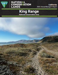 scenic coastal landscape with a winding path leading through grassy terrain toward a distant view of rugged mountains and the ocean. A clear sky with clouds adds to the beauty of the natural landscape.