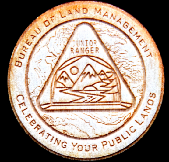 A wooden Junior Ranger Badge with text that says "Bureau of Land Management Junior Ranger Celebrating Your Public Lands"