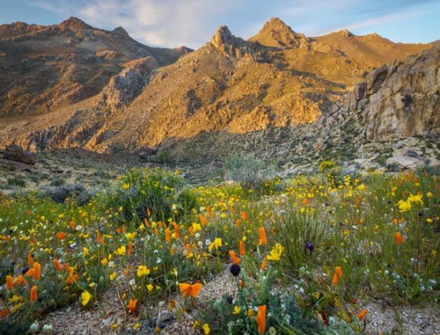 Pacific Crest Trail California