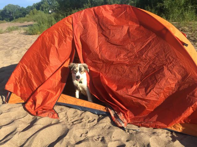 How to Set Up a Tent 