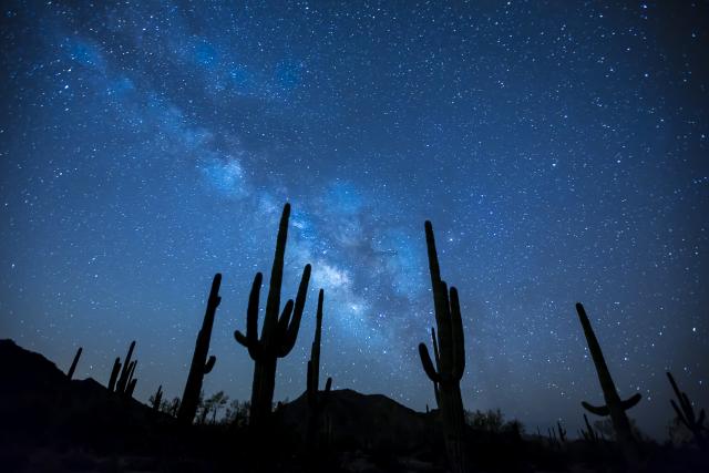 A night sky perspective showing saguaro cactus silhouette with many stars.