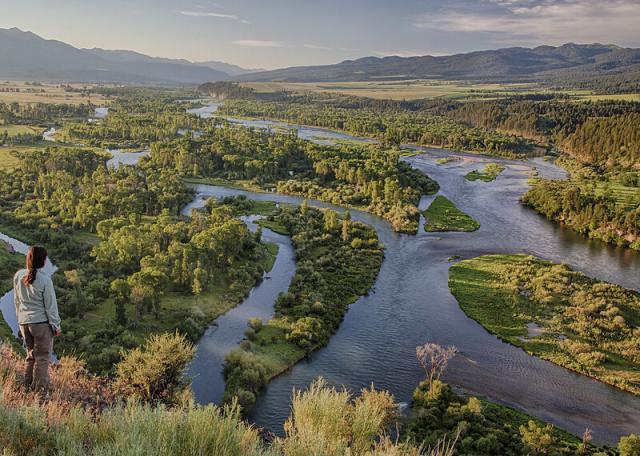 Woman overlooks scenic river and green trees