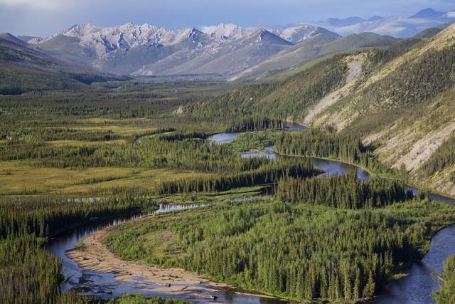 Beaver Creek Wild and Scenic River winds around trees with mountains in background