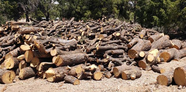 Firewood cutting in the Taos Field Office, New Mexico.