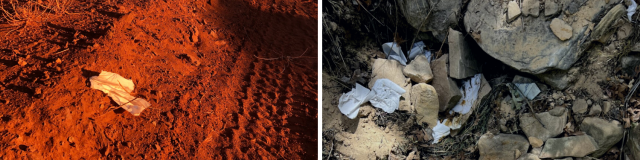 Two images of human waste and toilet paper thrown on the ground in outdoor spaces. 