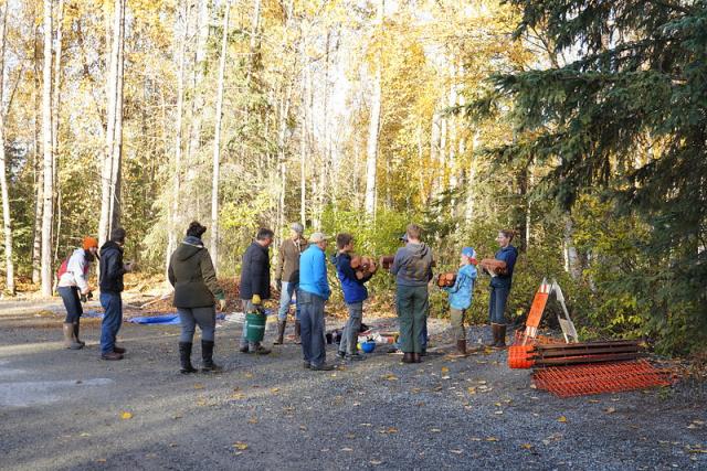 A group of volunteers contribute to an Eagle Scout project during the 2018 National Public Lands Day event that provided trail maintenance on the Salmon Run Trail on the Campbell Tract in Anchorage.