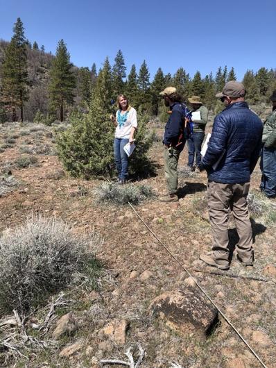 Crystal Welch, Ecologist from the Arcata Field Office, instructs AIM crews on vegetation monitoring in CA. Participants are standing next to a tree. 