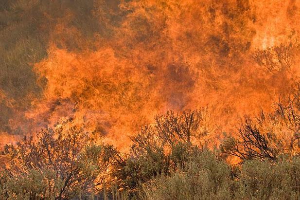 Wildland fire burning in sage-steppe, Idaho 2007