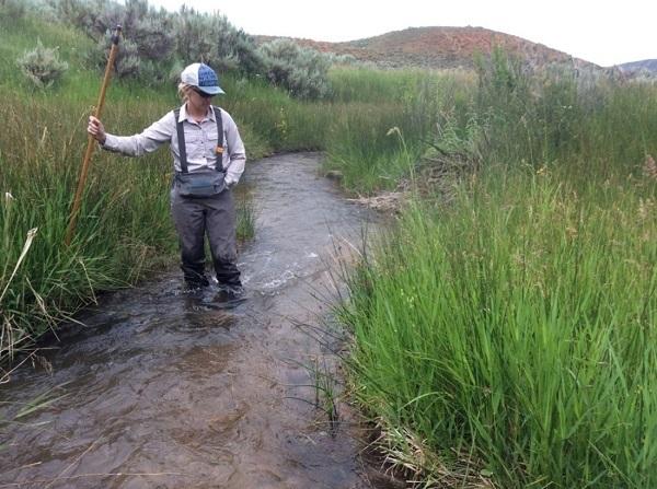 A woman holds a stick while standing in a stream surrounded by tall green grass.