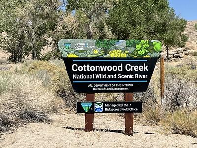 Sign depicting Cottonwood Creek.