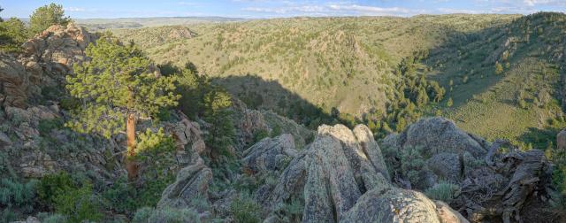 Rocky outcrop on a sunny day overlooking a green vegetative valley