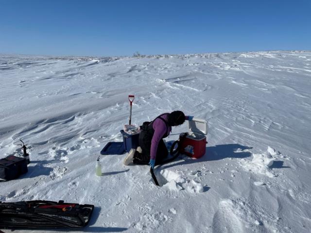 Collecting an eDNA water sample at Harry Potter Lake